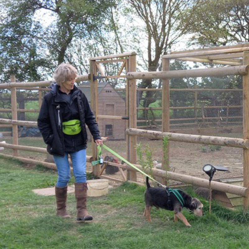 Trustee - Jane Freeman